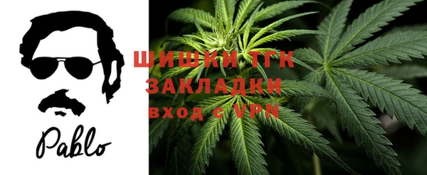 тгк Алексеевка