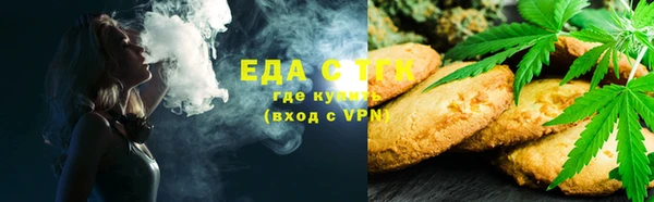 шишки Абаза