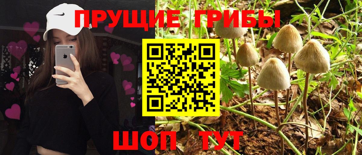 Псилоцибиновые грибы Magic Shrooms  Вход с VPN  Саранск 